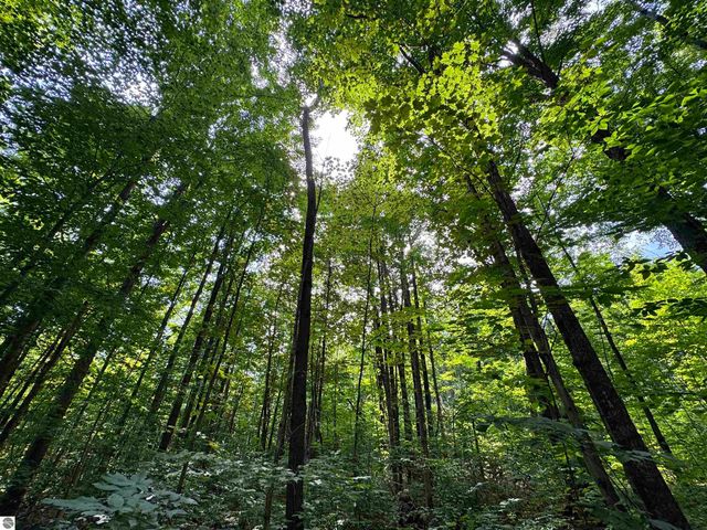 5466 Scholl Road, Mancelona, MI 49659