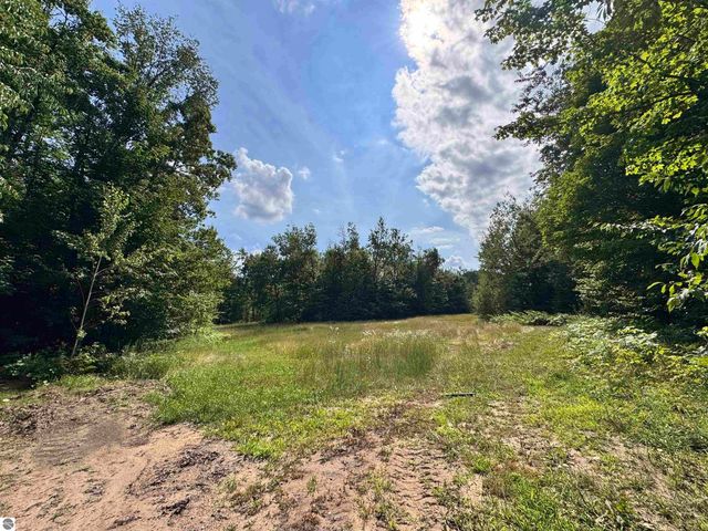 5466 Scholl Road, Mancelona, MI 49659