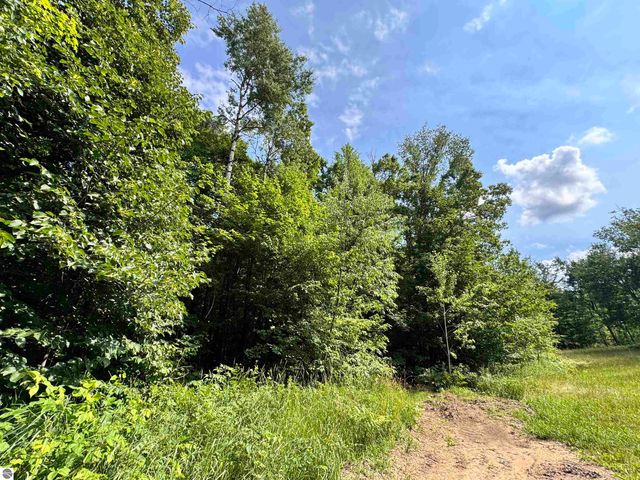 5466 Scholl Road, Mancelona, MI 49659