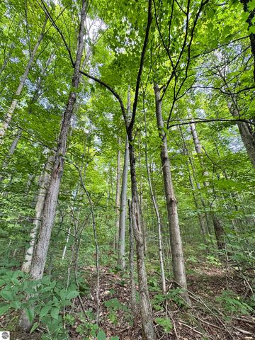 5466 Scholl Road, Mancelona, MI 49659