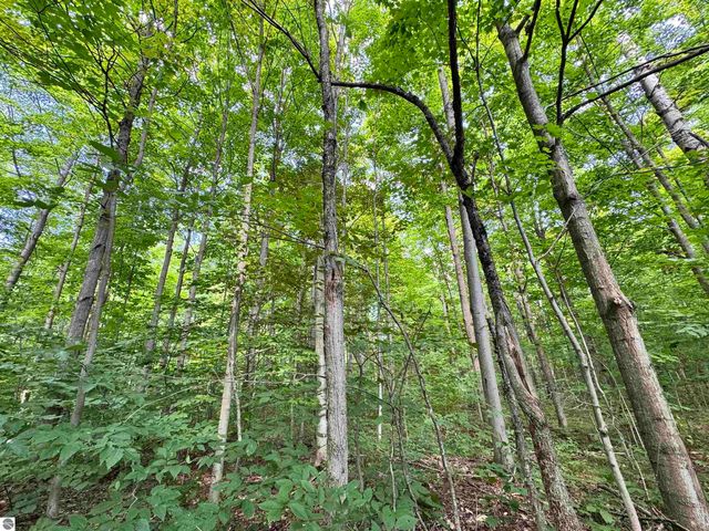 5466 Scholl Road, Mancelona, MI 49659