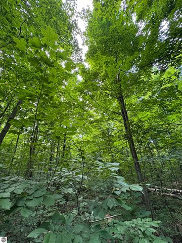 5466 Scholl Road, Mancelona, MI 49659