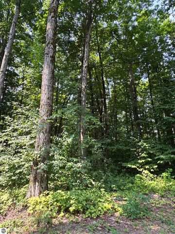 5466 Scholl Road, Mancelona, MI 49659