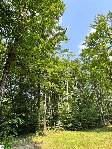 5466 Scholl Road, Mancelona, MI 49659