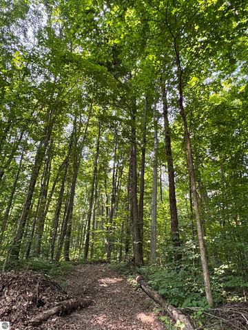 5466 Scholl Road, Mancelona, MI 49659