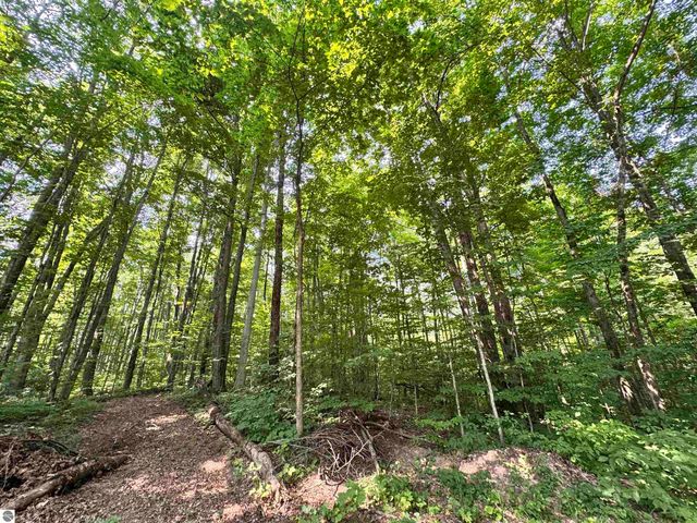 5466 Scholl Road, Mancelona, MI 49659