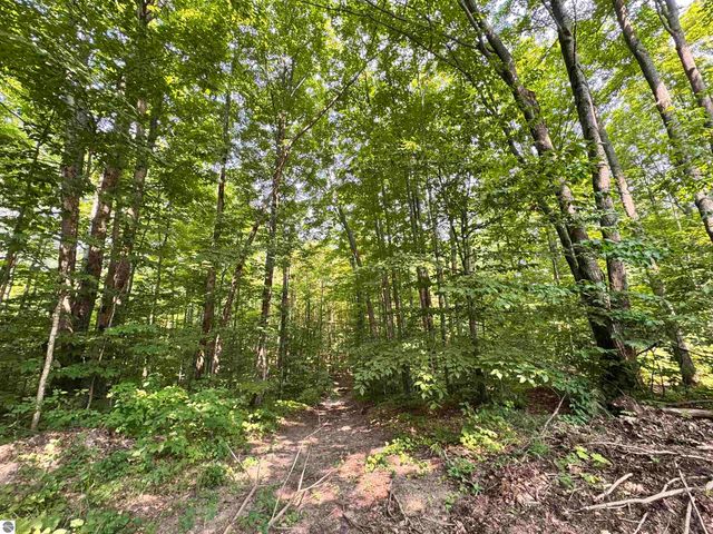 5466 Scholl Road, Mancelona, MI 49659