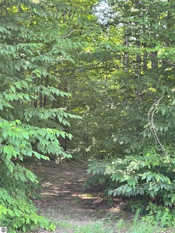 5466 Scholl Road, Mancelona, MI 49659