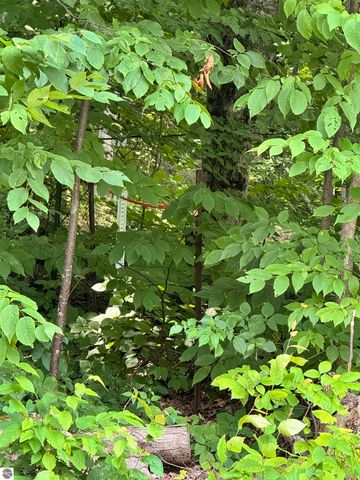 5466 Scholl Road, Mancelona, MI 49659