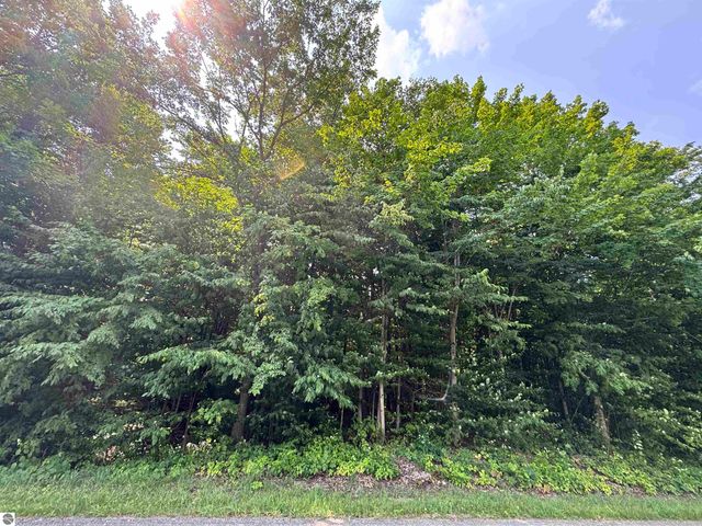 5466 Scholl Road, Mancelona, MI 49659