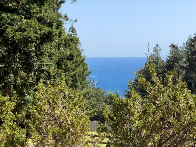 46650 Fish Rock Rd, Gualala, CA 95445