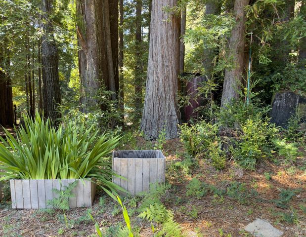 46650 Fish Rock Rd, Gualala, CA 95445