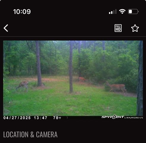 00000 Langham, Kountze, TX 77625