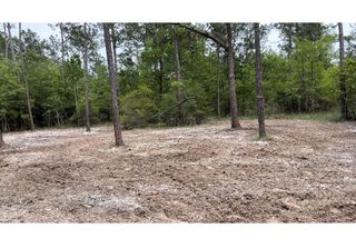 00000 Langham, Kountze, TX 77625