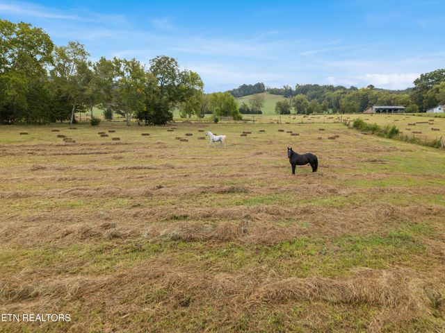 6978 Old Dixie Hwy, Spring City, TN 37381