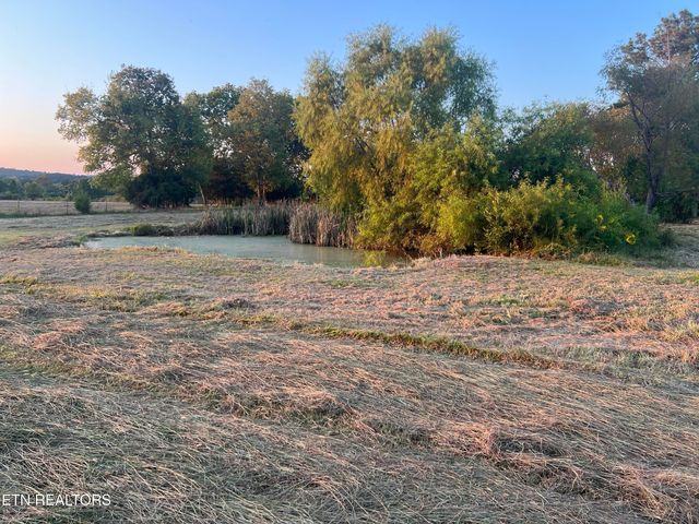 6978 Old Dixie Hwy, Spring City, TN 37381