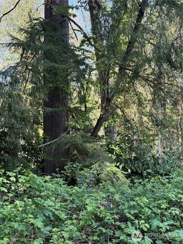 23125 N River Drive, Granite Falls, WA 98252