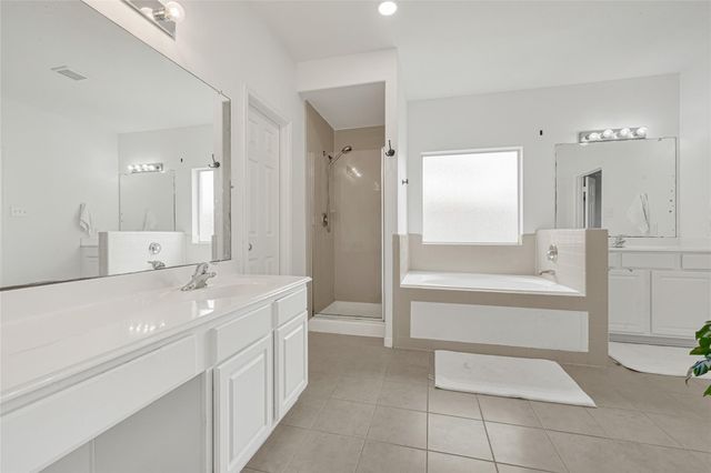 21406 Snow Goose Court, Spring, TX 77388