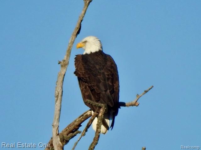 3292 W Sutton Road, Lapeer, MI 48446