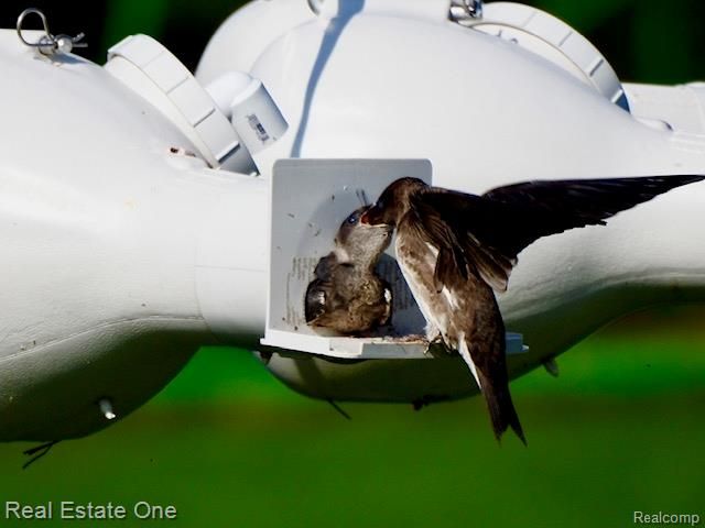 3292 W Sutton Road, Lapeer, MI 48446