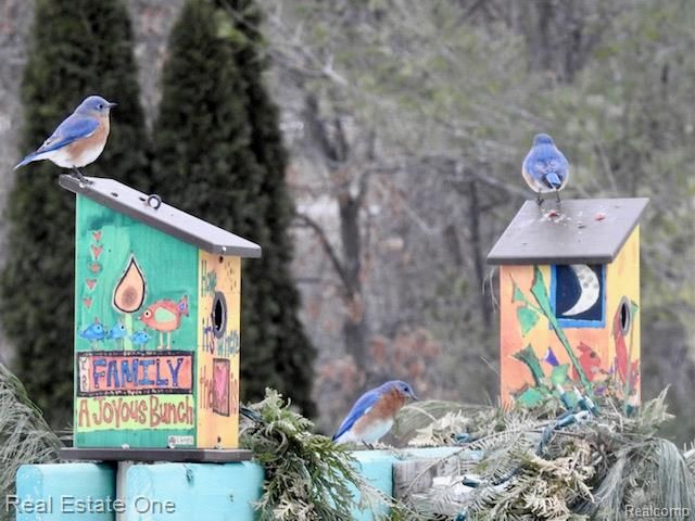 3292 W Sutton Road, Lapeer, MI 48446