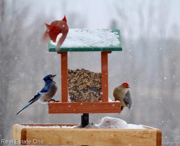 3292 W Sutton Road, Lapeer, MI 48446