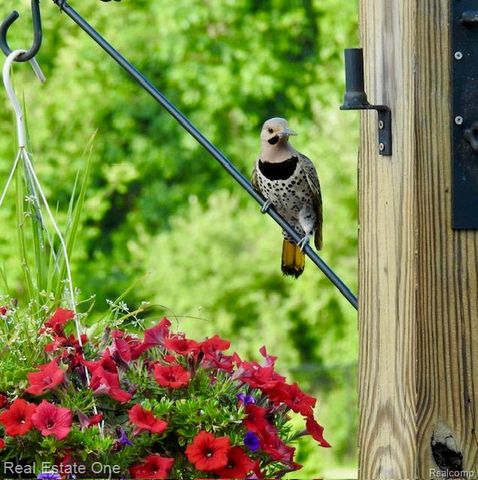 3292 W Sutton Road, Lapeer, MI 48446