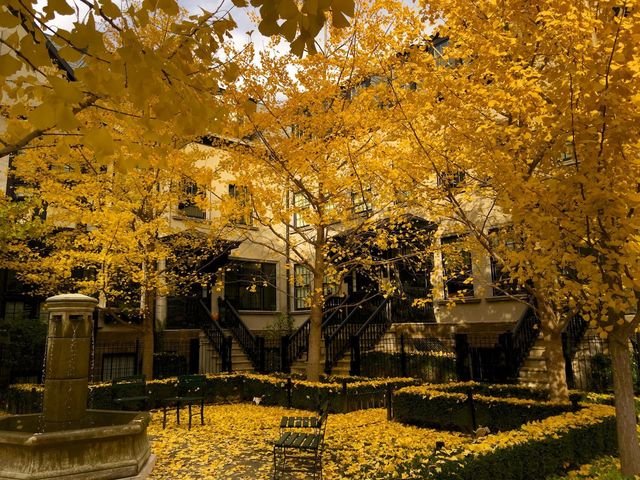 190 E Gay Street, G8, Columbus, OH 43215