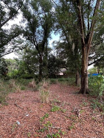 PALMETTO STREET, Eustis, FL 32726