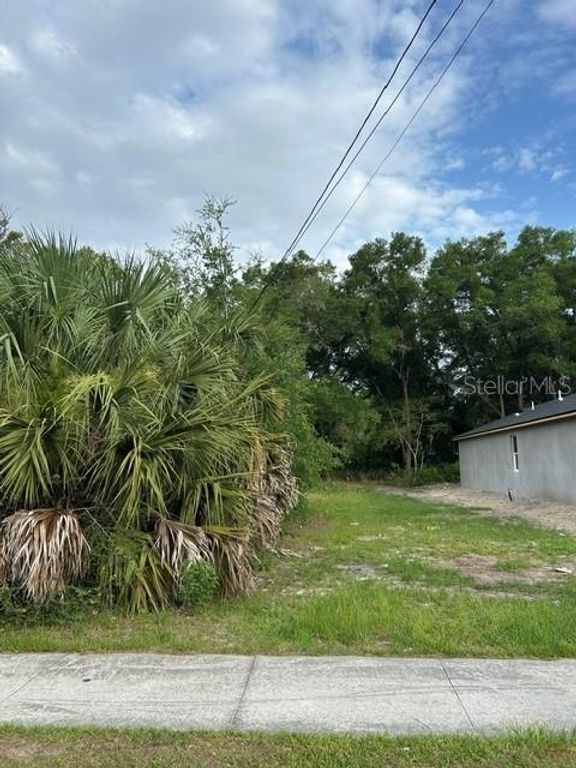 PALMETTO STREET, Eustis, FL 32726