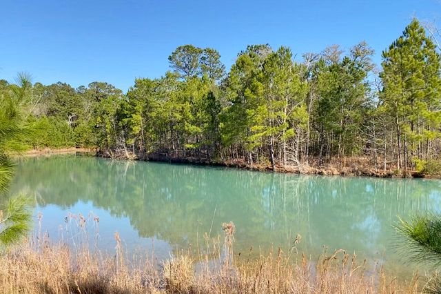 0 Old Pond Road, Johns Island, SC 29455