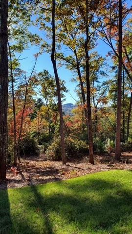 206 Celestial Circle, Clayton, GA 30525