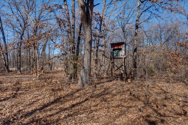 321 W Dade 122, Greenfield, MO 65661