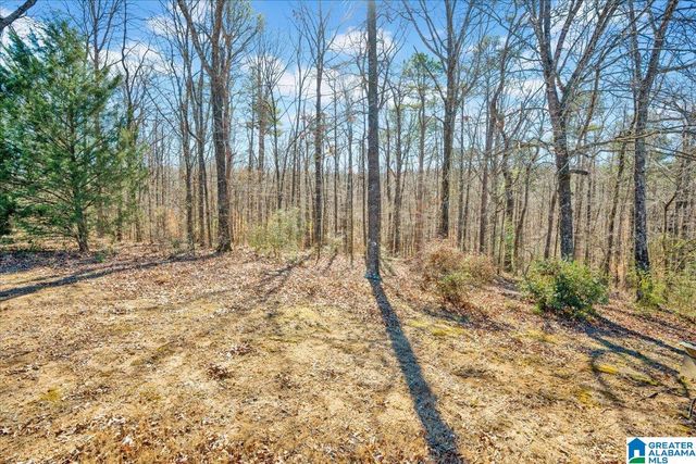 1025 WILLOWBROOK ROAD, Birmingham, AL 35215