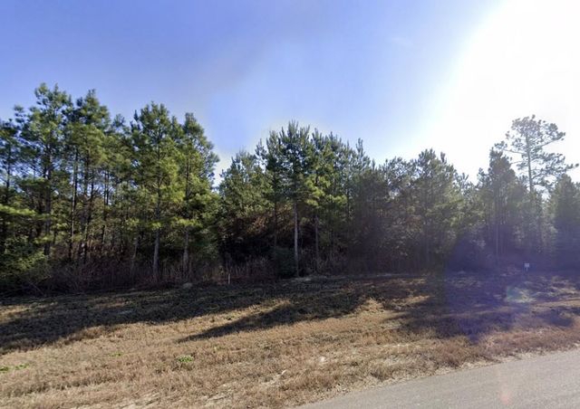 11855 Moss Grove Court, Willis, TX 77378