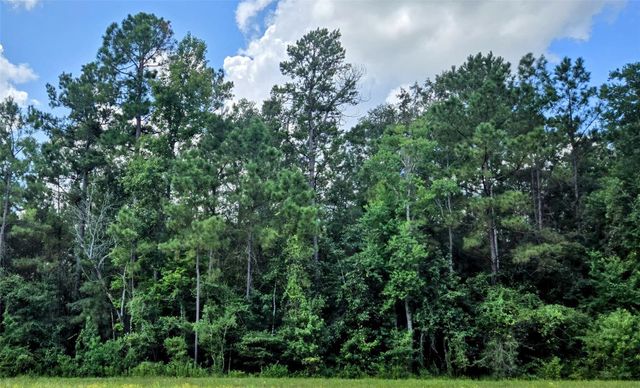 11855 Moss Grove Court, Willis, TX 77378