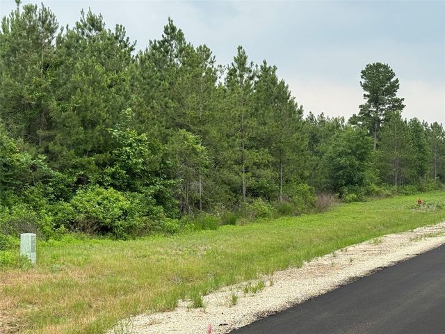 11855 Moss Grove Court, Willis, TX 77378