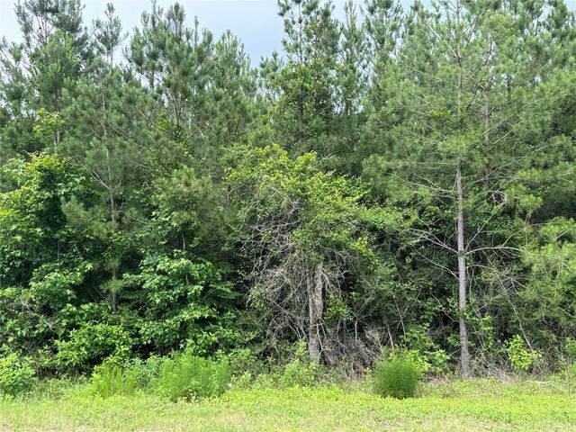 11855 Moss Grove Court, Willis, TX 77378