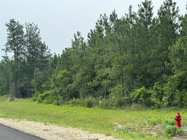 11855 Moss Grove Court, Willis, TX 77378