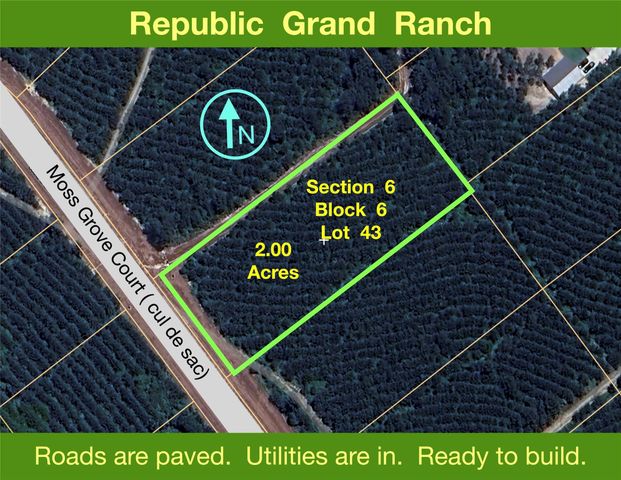 11855 Moss Grove Court, Willis, TX 77378