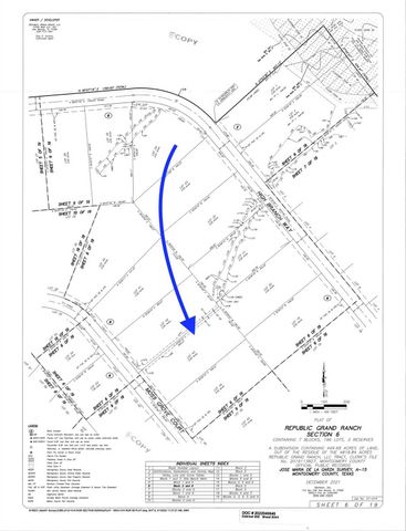 11855 Moss Grove Court, Willis, TX 77378