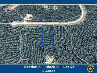 11855 Moss Grove Court, Willis, TX 77378
