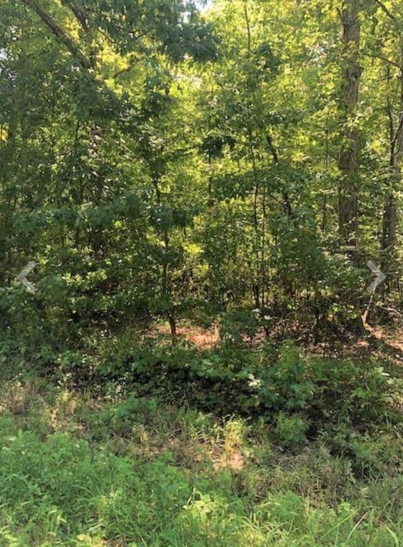 0 Sunset Drive, Manchester, TN 37355