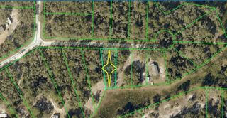 Lot 10 LONG CIRCLE, Webster, FL 33597