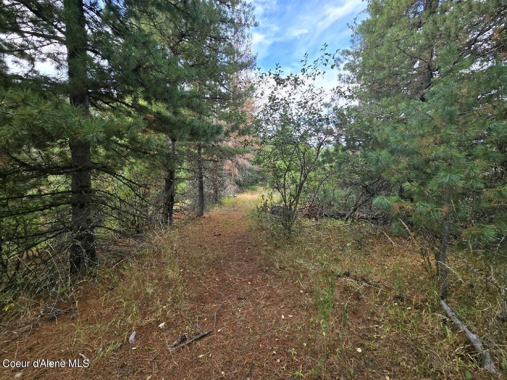 51833 Silver Valley Rd, Kellogg, ID 83837 photo 13