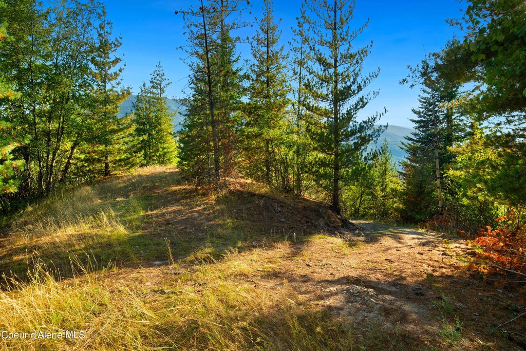 51833 Silver Valley Rd, Kellogg, ID 83837 photo 7