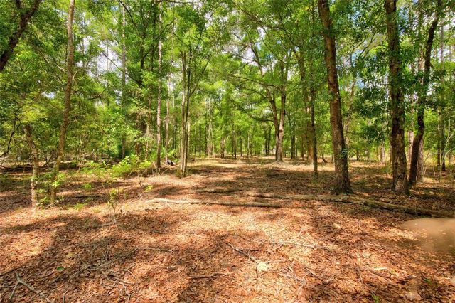 3450 NE 48TH AVENUE, High Springs, FL 32643