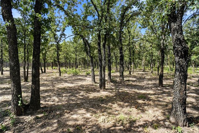 211 Spring Valley Road, Paradise, TX 76073