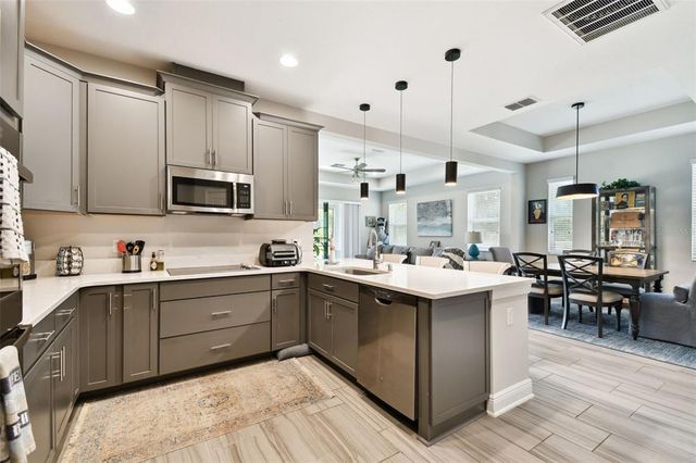19325 HAWK VALLEY DRIVE, Tampa, FL 33647