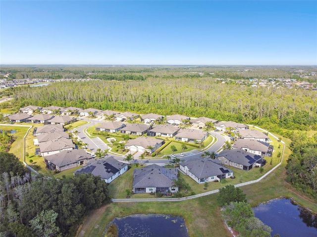 19325 HAWK VALLEY DRIVE, Tampa, FL 33647